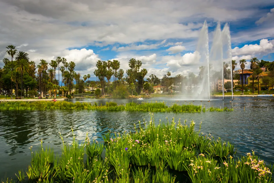 Echo Park Lake with tall artesian fountain, palm trees and apartment buildings in background.